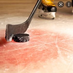 Meet your Posher, Lucy